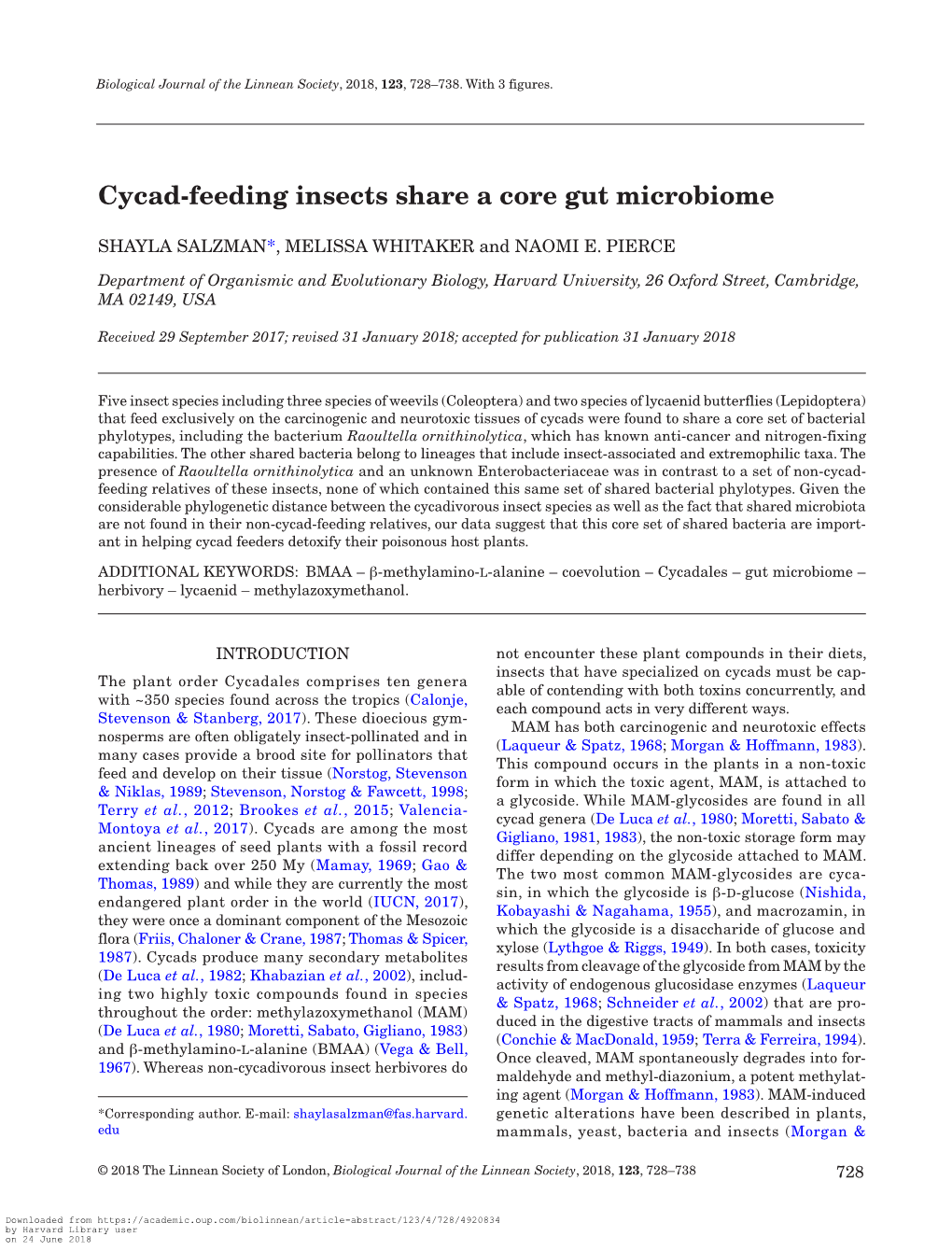 Cycad-Feeding Insects Share a Core Gut Microbiome