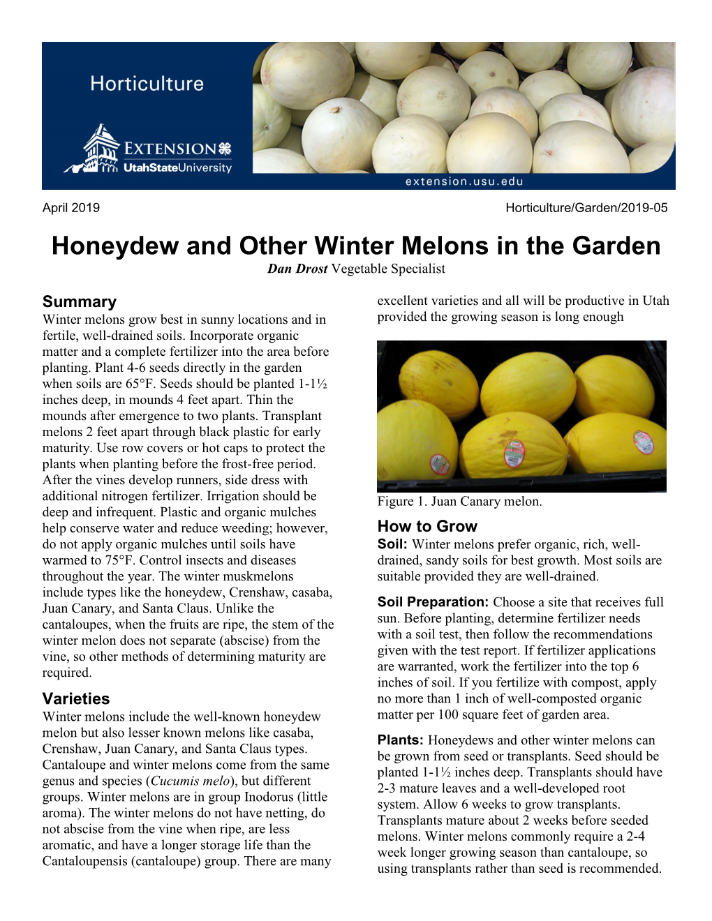 Honeydew and Other Winter Melons in the Garden Dan Drost Vegetable Specialist