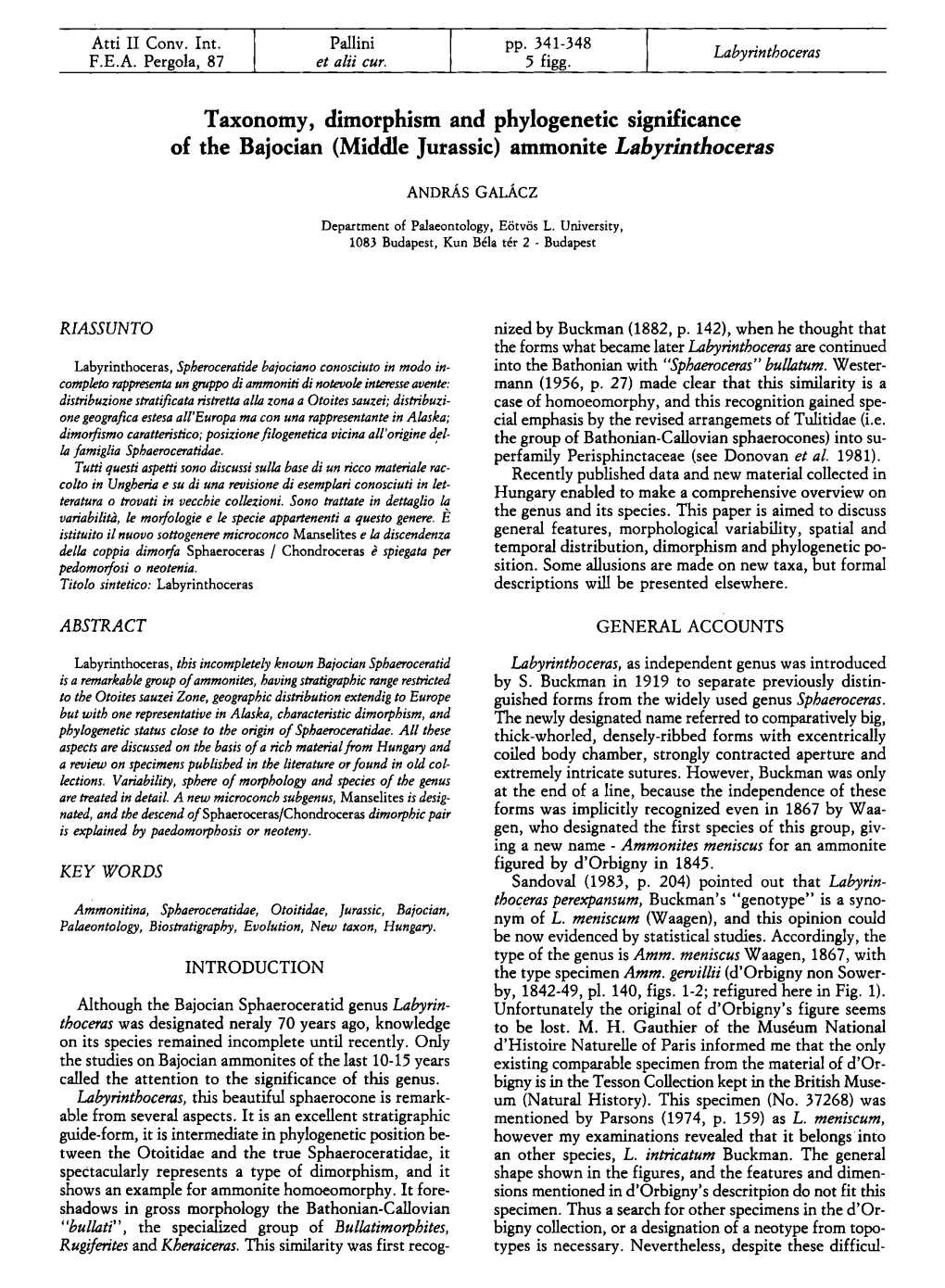 Taxonomy, Dimorphism and Phylogenetic Significance of the Bajocian (Middle Jurassic) Ammonite Labyrinthoceras