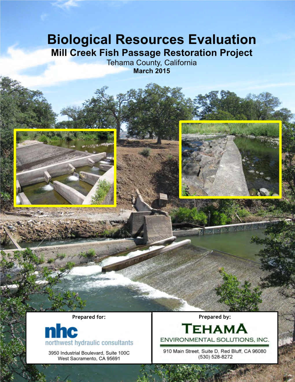 D) Mill Creek: Fish Passage Biological Evaluation