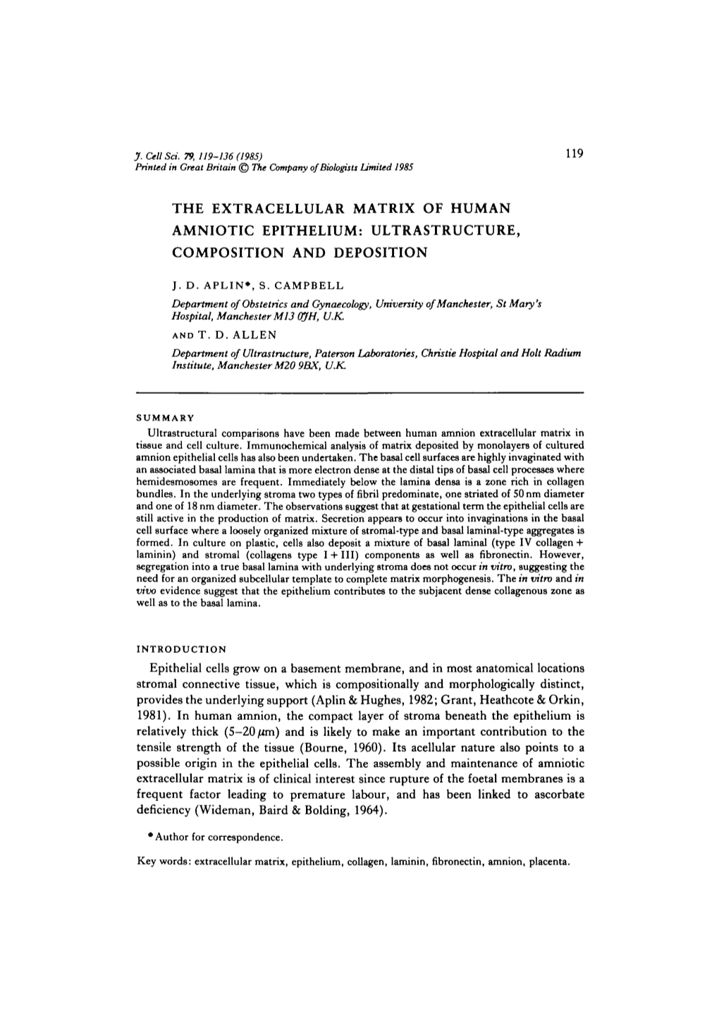 The Extracellular Matrix of Human Amniotic Epithelium: Ultrastructure, Composition and Deposition