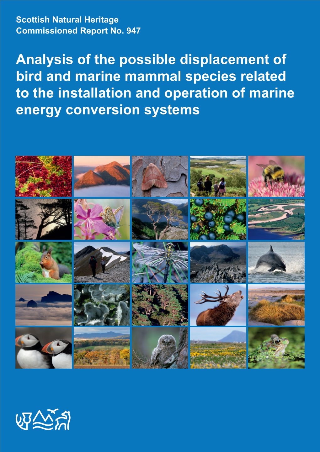 Analysis of the Possible Displacement of Bird and Marine Mammal Species Related to the Installation and Operation of Marine Energy Conversion Systems