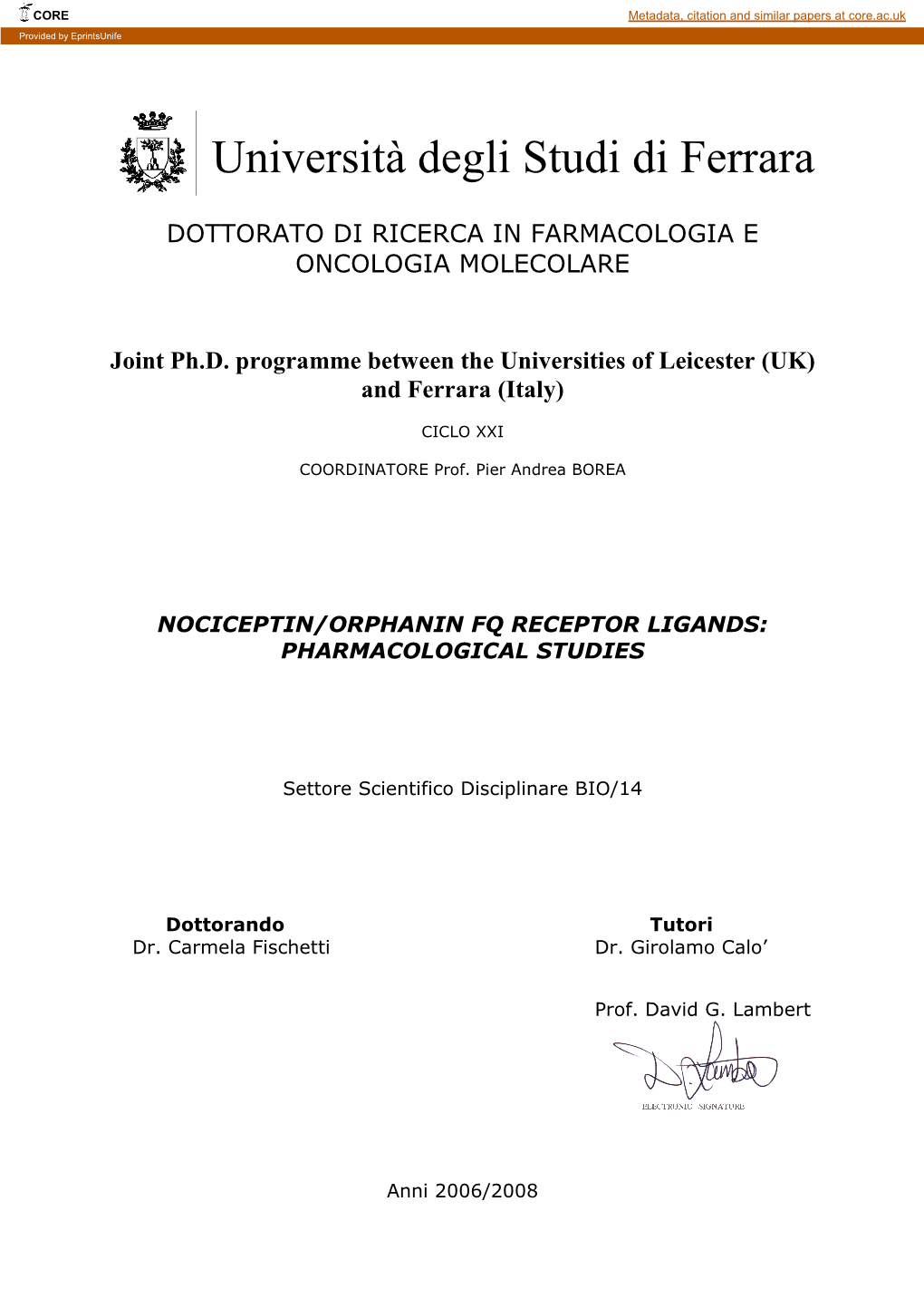 Carmela Fischetti Phd Thesis