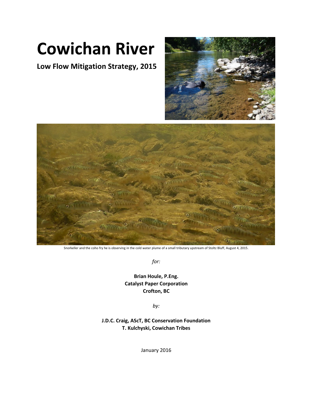 Cowichan River Low Flow Mitigation Strategy, 2015
