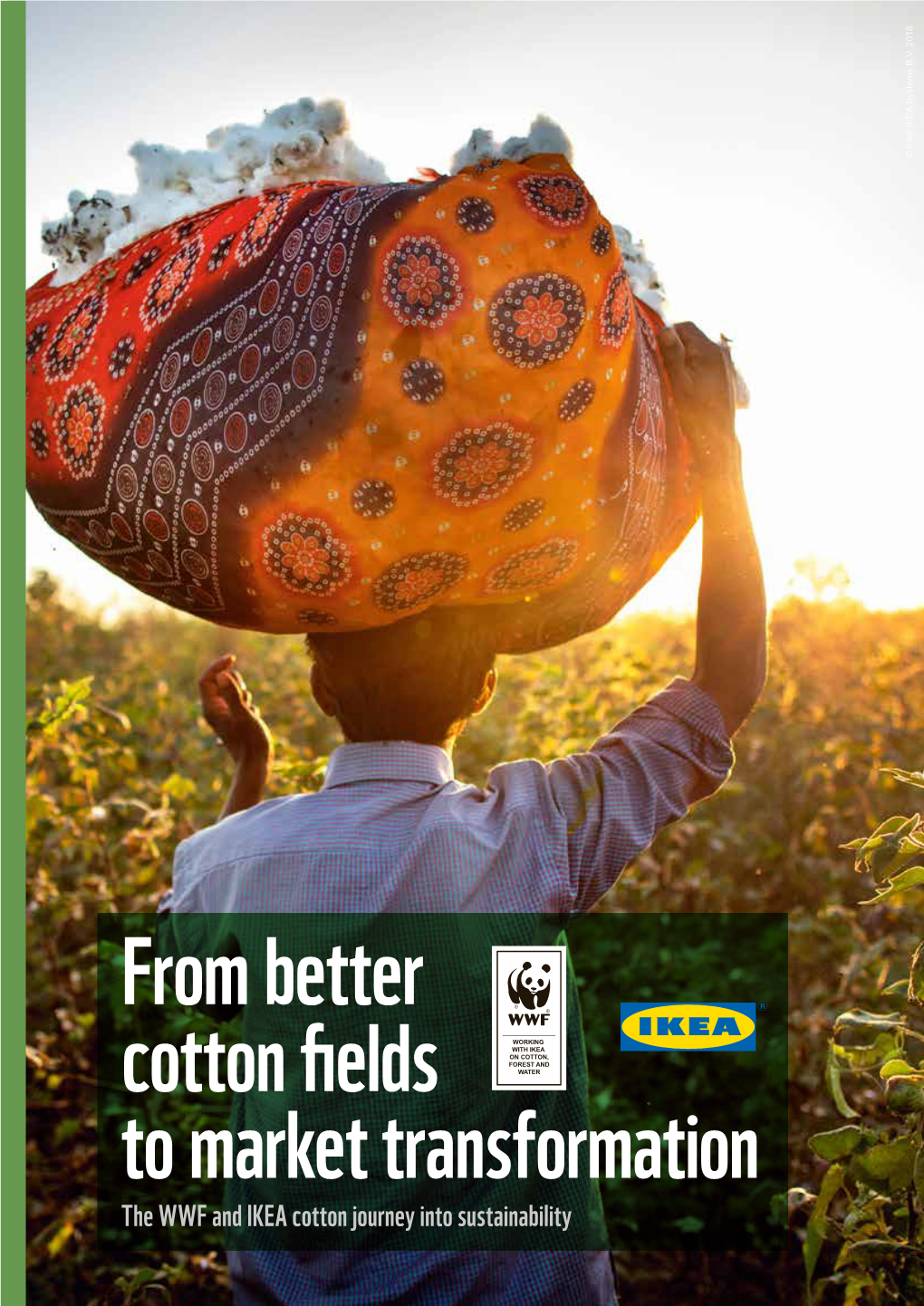 Okwfrom Better Cotton Fields to Market Transformation