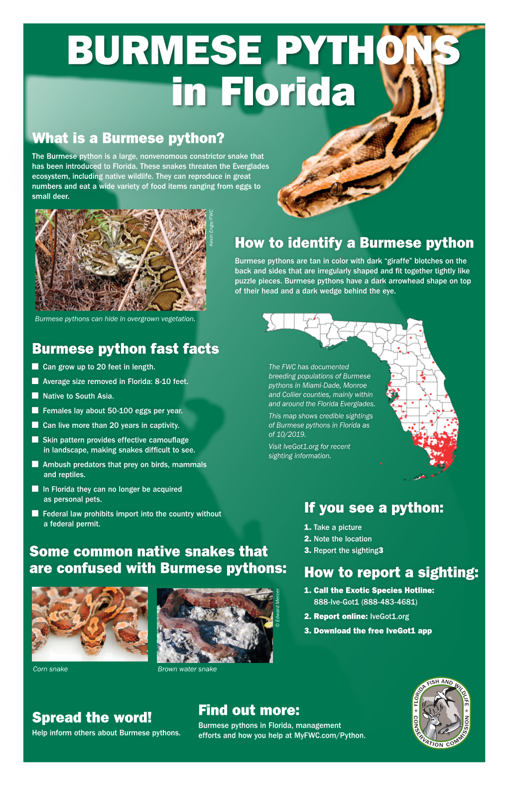 Burmese Pythons in Florida As of 10/2019