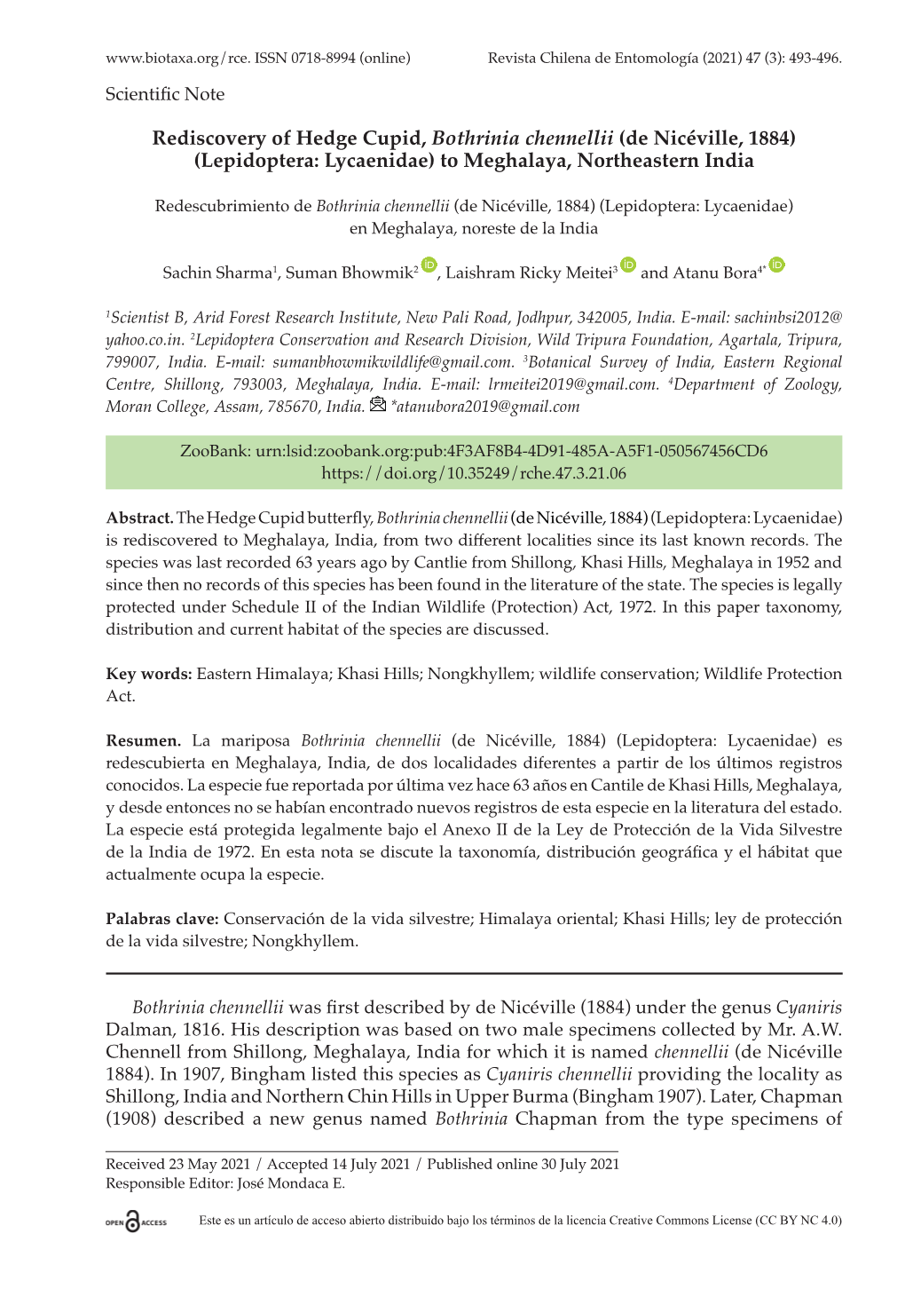 Rediscovery of Hedge Cupid, Bothrinia Chennellii (De Nicéville, 1884) (Lepidoptera: Lycaenidae) to Meghalaya, Northeastern India