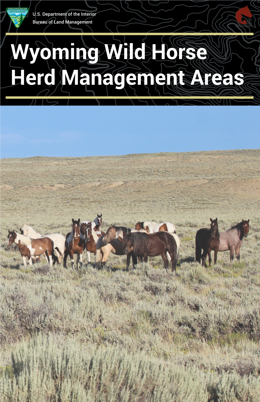 Wyoming Wild Horse Herd Management Areas