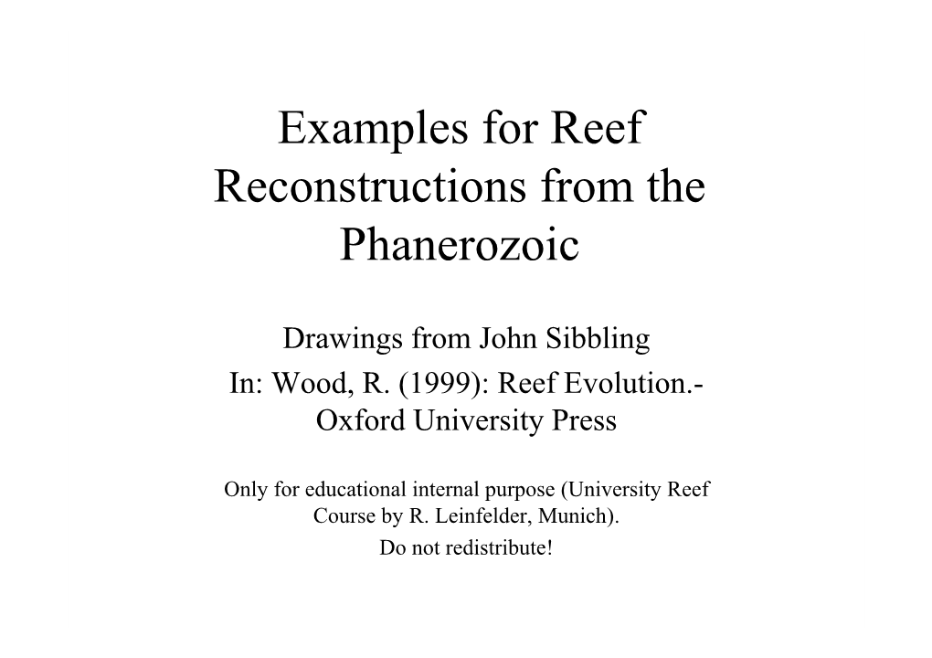 Examples for Reef Reconstructions from the Phanerozoic