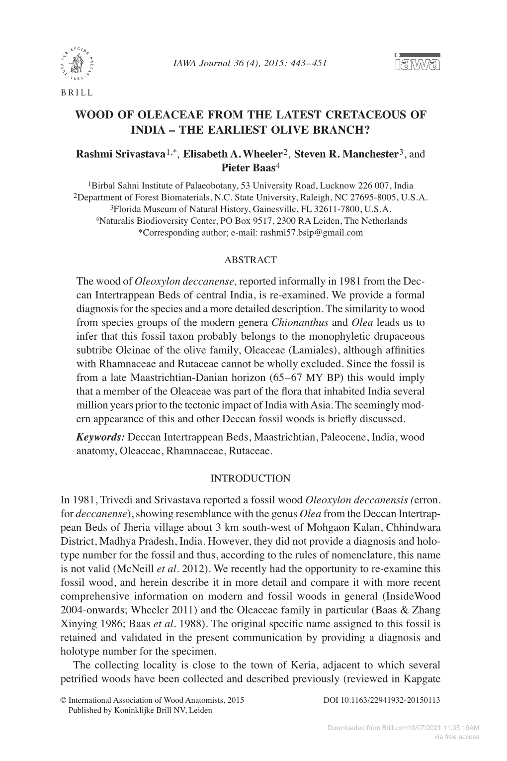 Wood of Oleaceae from the Latest Cretaceous of India – the Earliest Olive Branch?