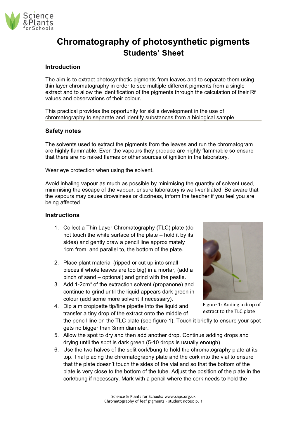 Chromatography of Photosynthetic Pigments Students Sheet