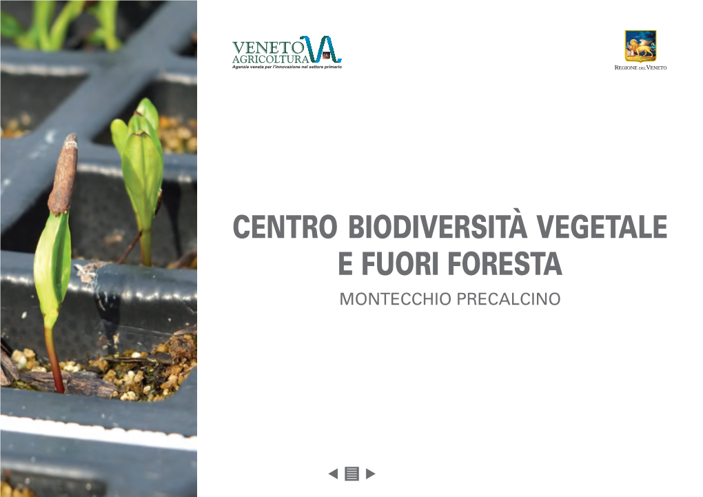 Centro Biodiversità Vegetale E Fuori Foresta Montecchio Precalcino