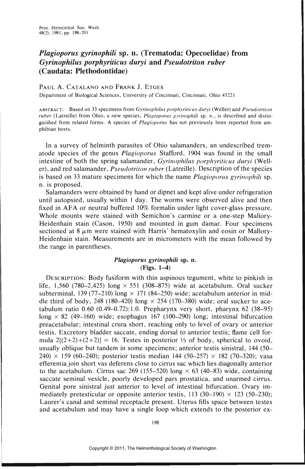 From Gyrinophilus Porphyriticus Duryi and Pseudotriton Ruber (Caudata: Plethodontidae)