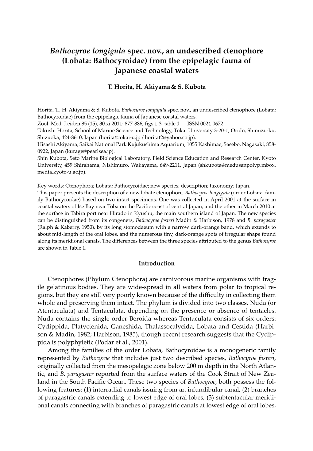 Bathocyroe Longigula Spec. Nov., an Undescribed Ctenophore (Lobata: Bathocyroidae) from the Epipelagic Fauna of Japanese Coastal Waters