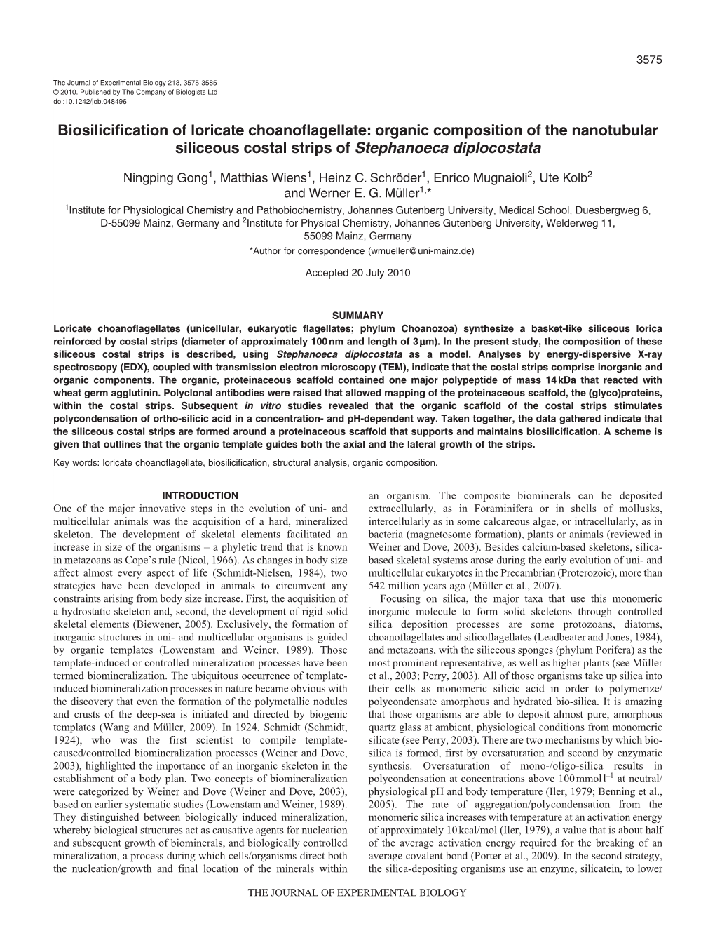 Biosilicification of Loricate Choanoflagellate: Organic Composition of the Nanotubular Siliceous Costal Strips of Stephanoeca Diplocostata