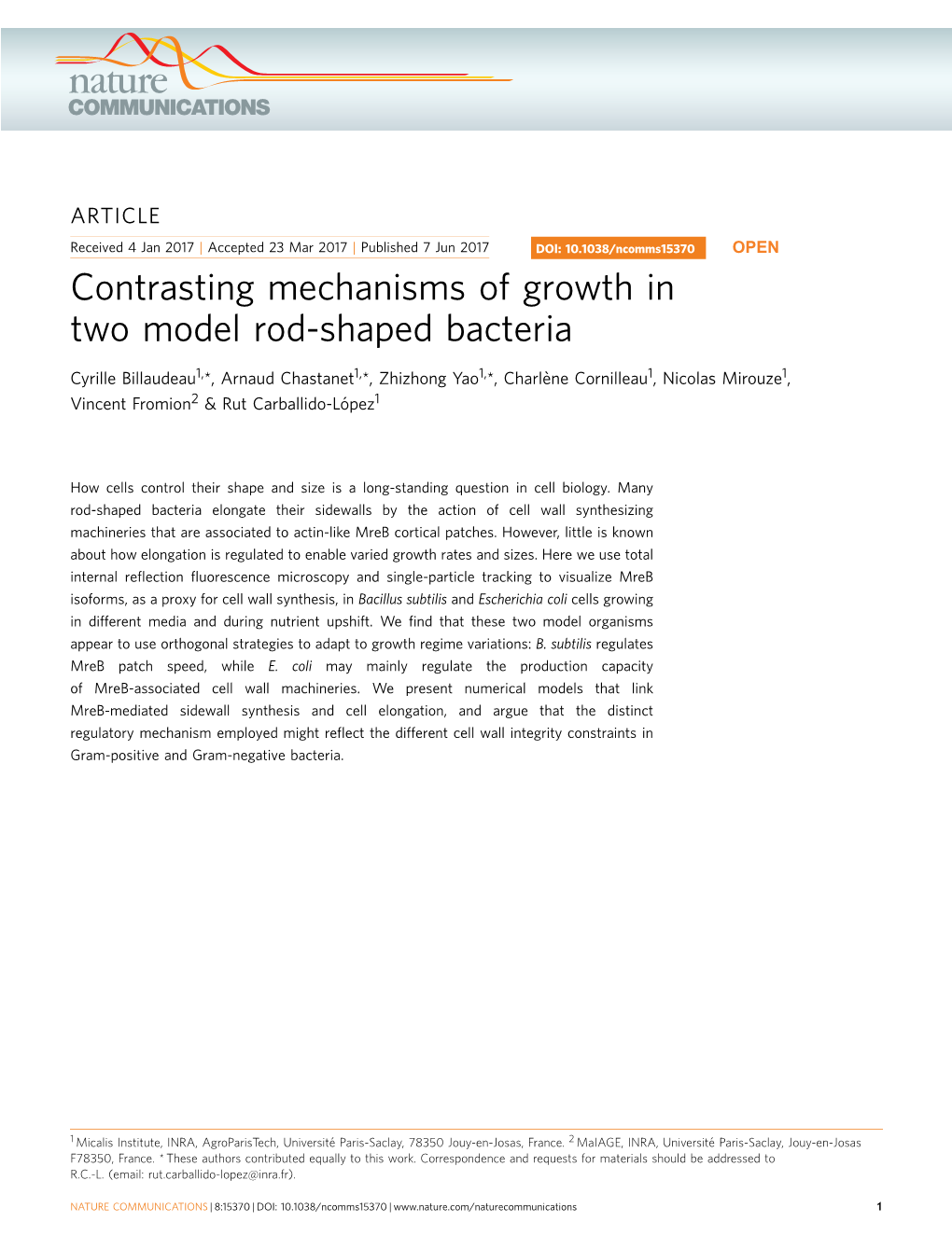 Contrasting Mechanisms of Growth in Two Model Rod-Shaped Bacteria