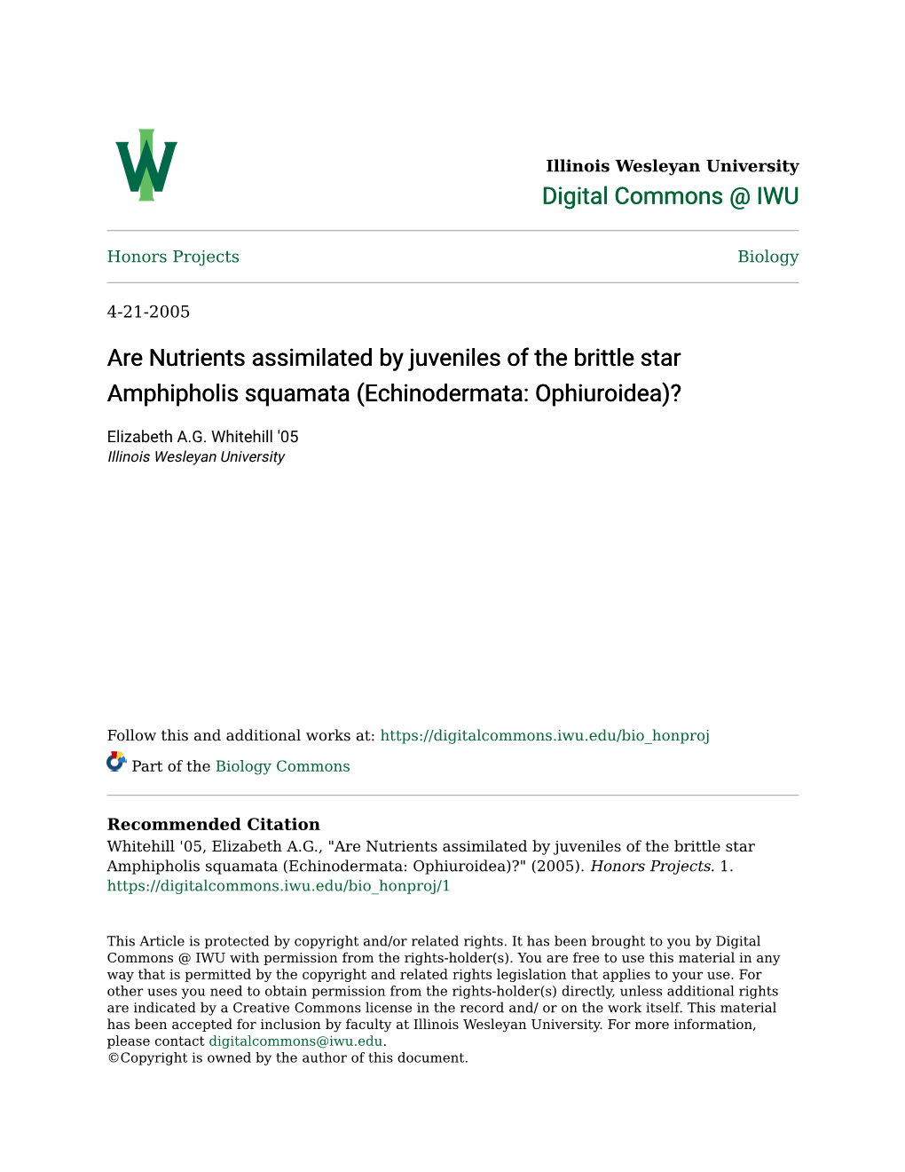 Are Nutrients Assimilated by Juveniles of the Brittle Star Amphipholis Squamata (Echinodermata: Ophiuroidea)?