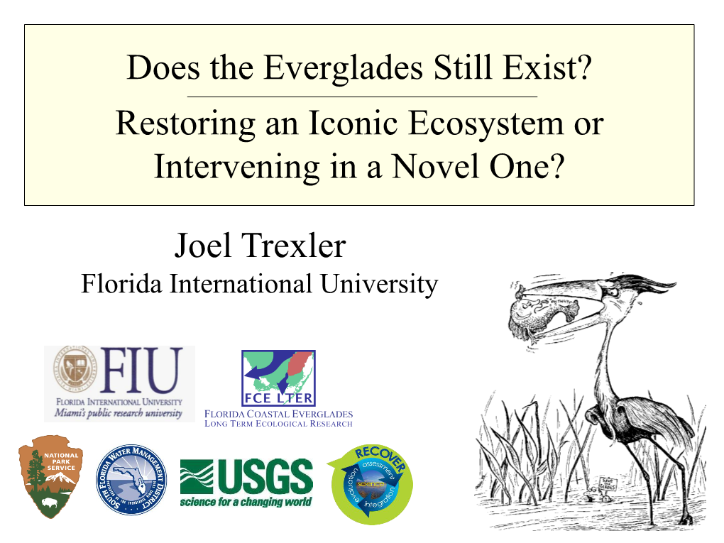 Does the Everglades Still Exist? Restoring an Iconic Ecosystem Or Intervening in a Novel One? Joel Trexler