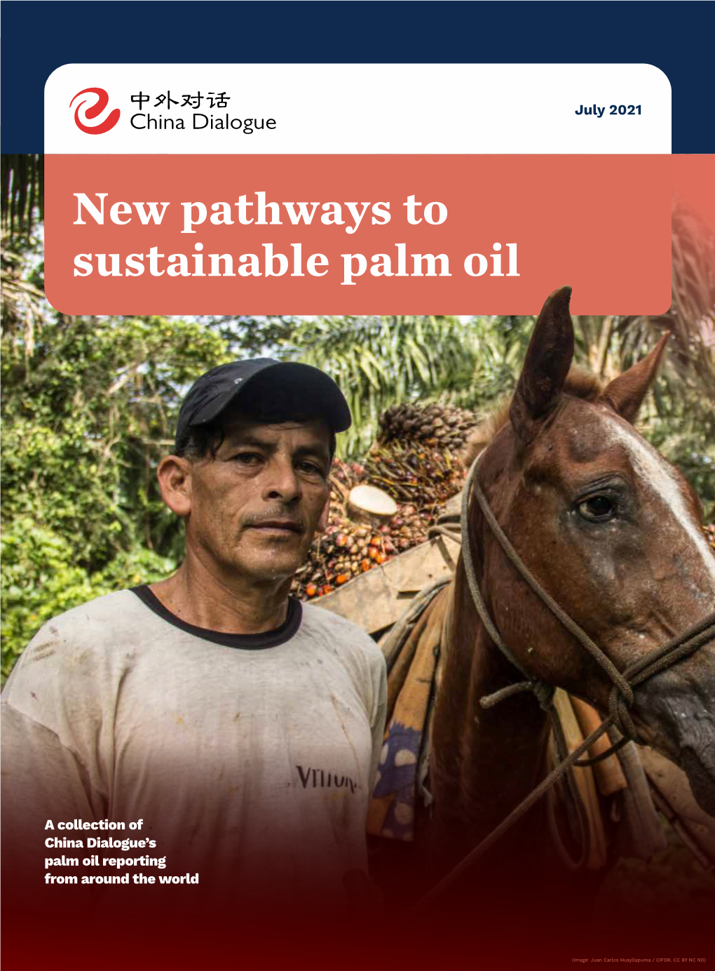 New Pathways to Sustainable Palm Oil