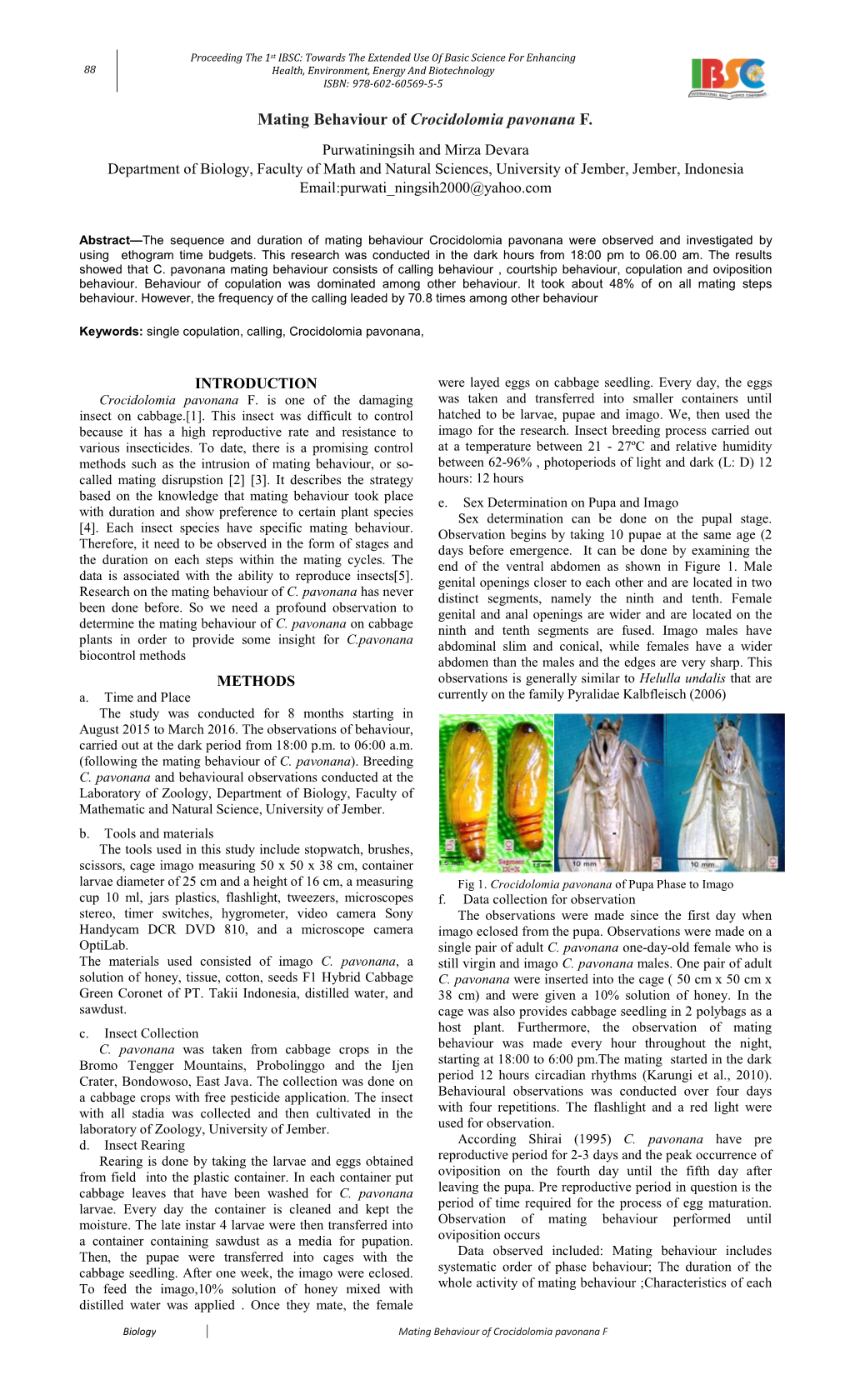 Mating Behaviour of Crocidolomia Pavonana F