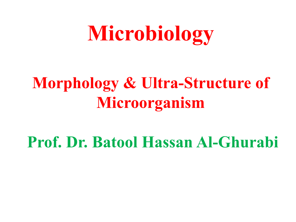 Anatomy of Bacterial Cell • Anatomy of Bacterial Cell A