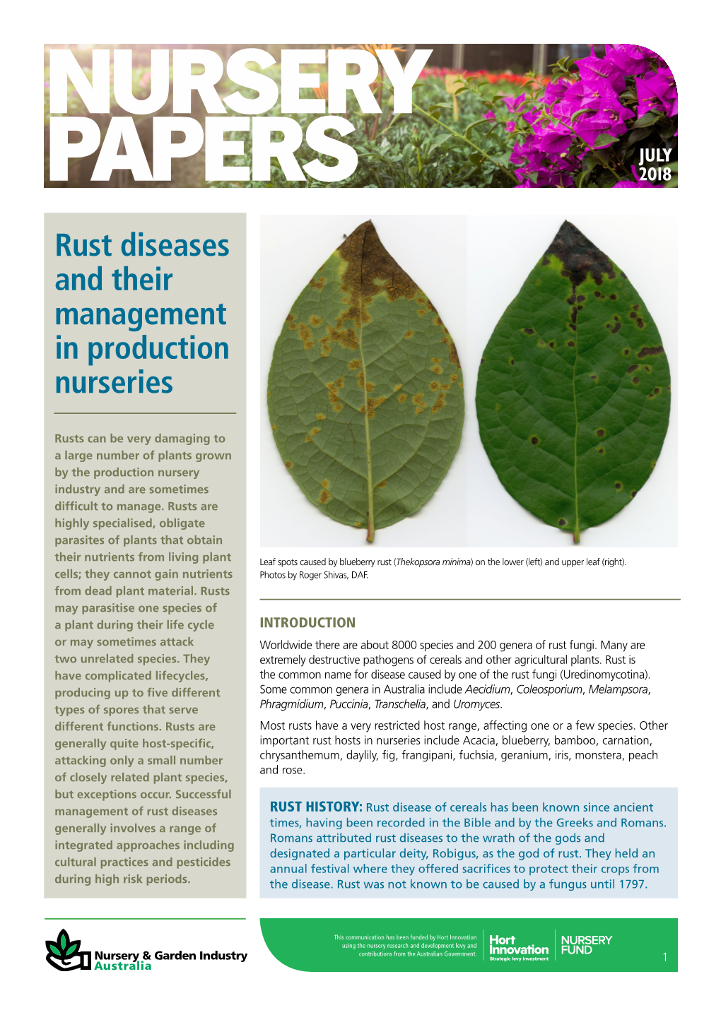 Rust Diseases and Their Management in Production Nurseries