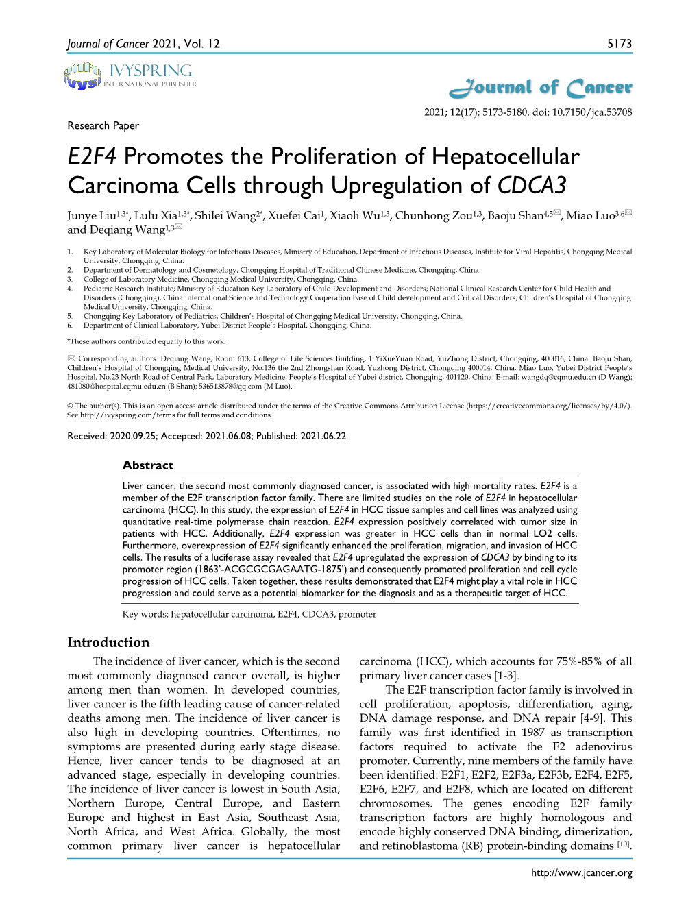 E2F4 Promotes the Proliferation of Hepatocellular Carcinoma Cells