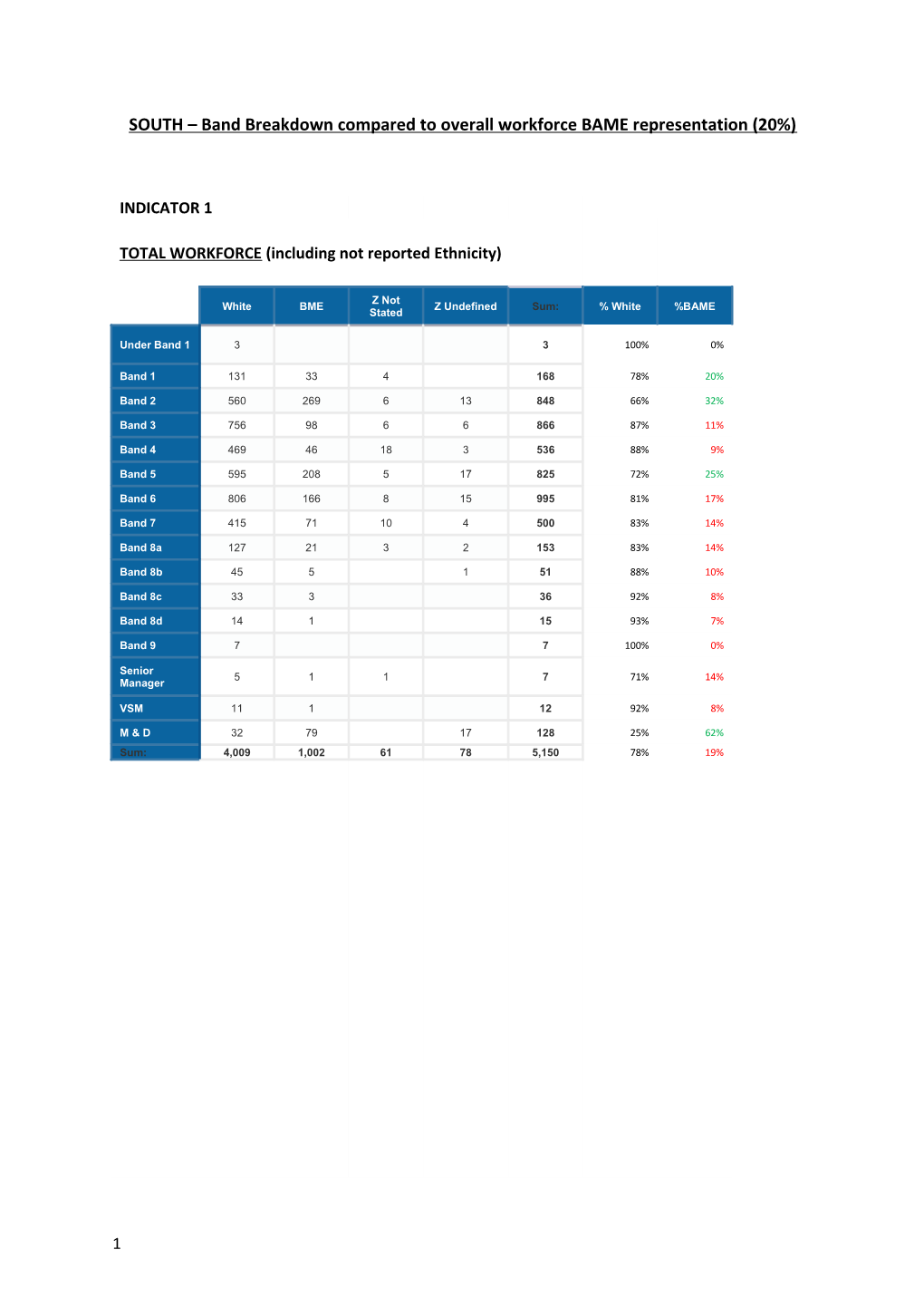 SOUTH Band Breakdown Compared to Overall Workforce BAME Representation (20%)