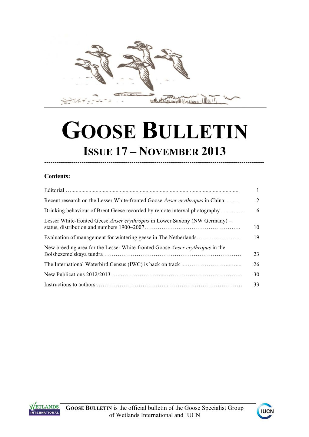 Issue 17 – November 2013
