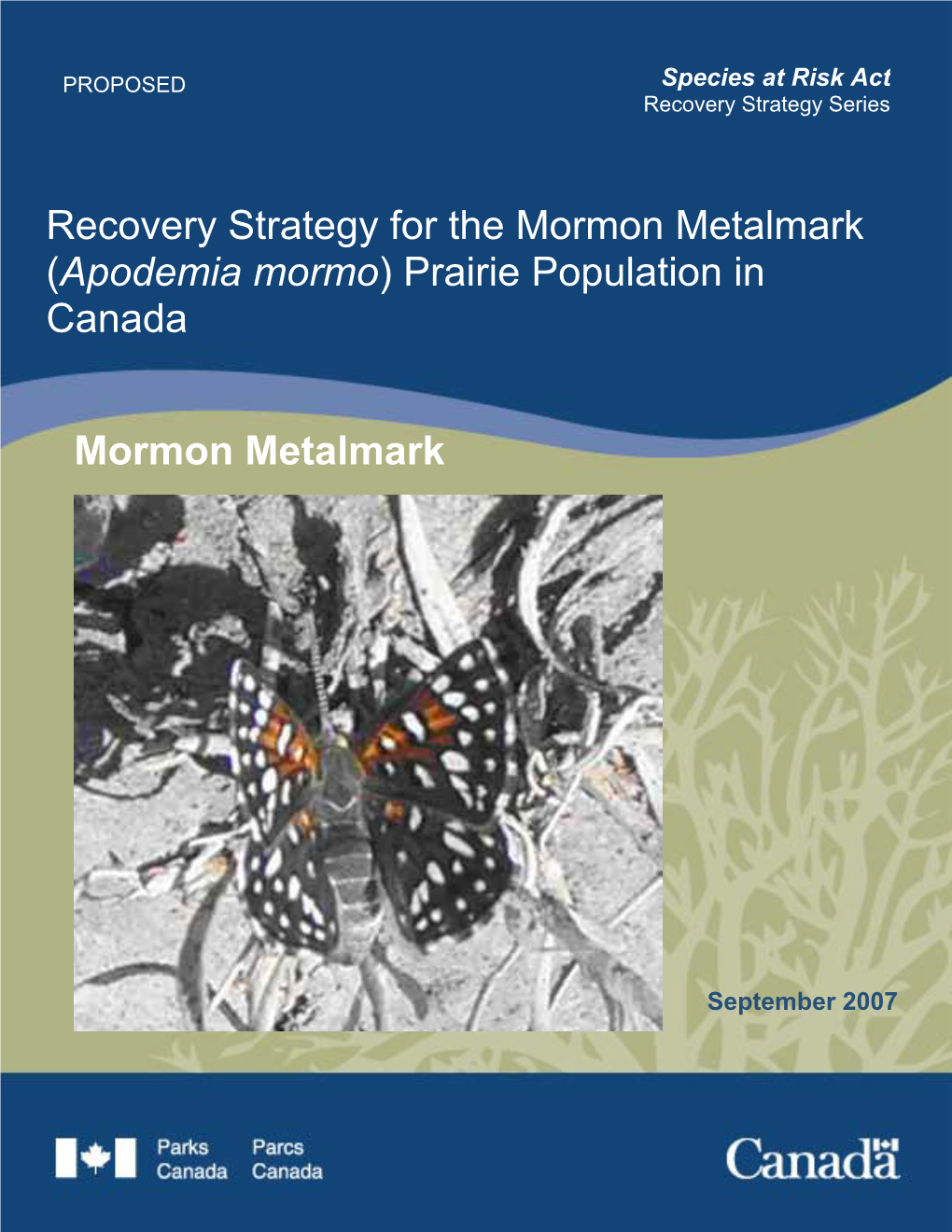 Recovery Strategy for the Mormon Metalmark (Apodemia Mormo) Prairie Population in Canada