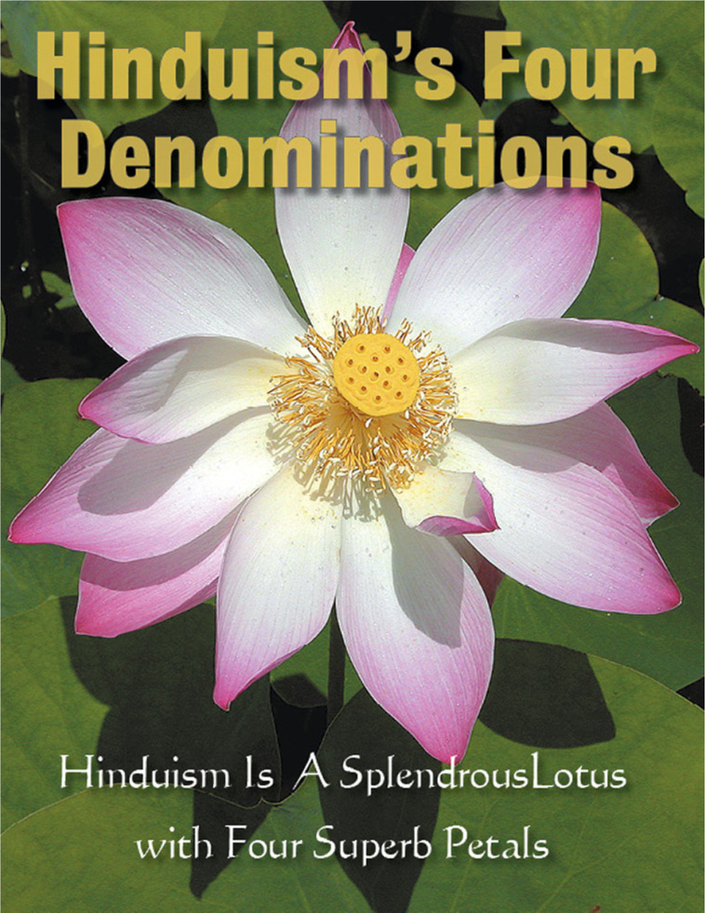 Four-Denominations-Of-Hinduism Ei.Pdf