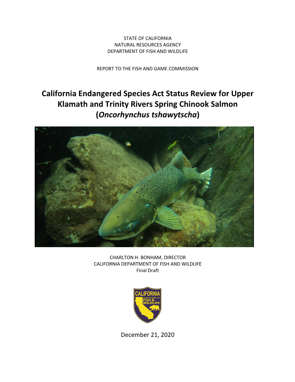 California Endangered Species Act Status Review for Upper Klamath and Trinity Rivers Spring Chinook Salmon (Oncorhynchus Tshawytscha)