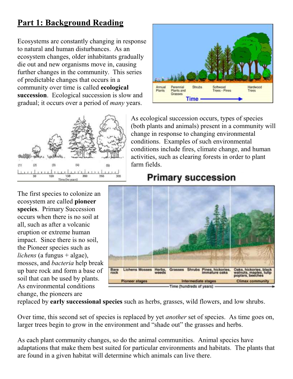 Ecological Succession Introductory Activity