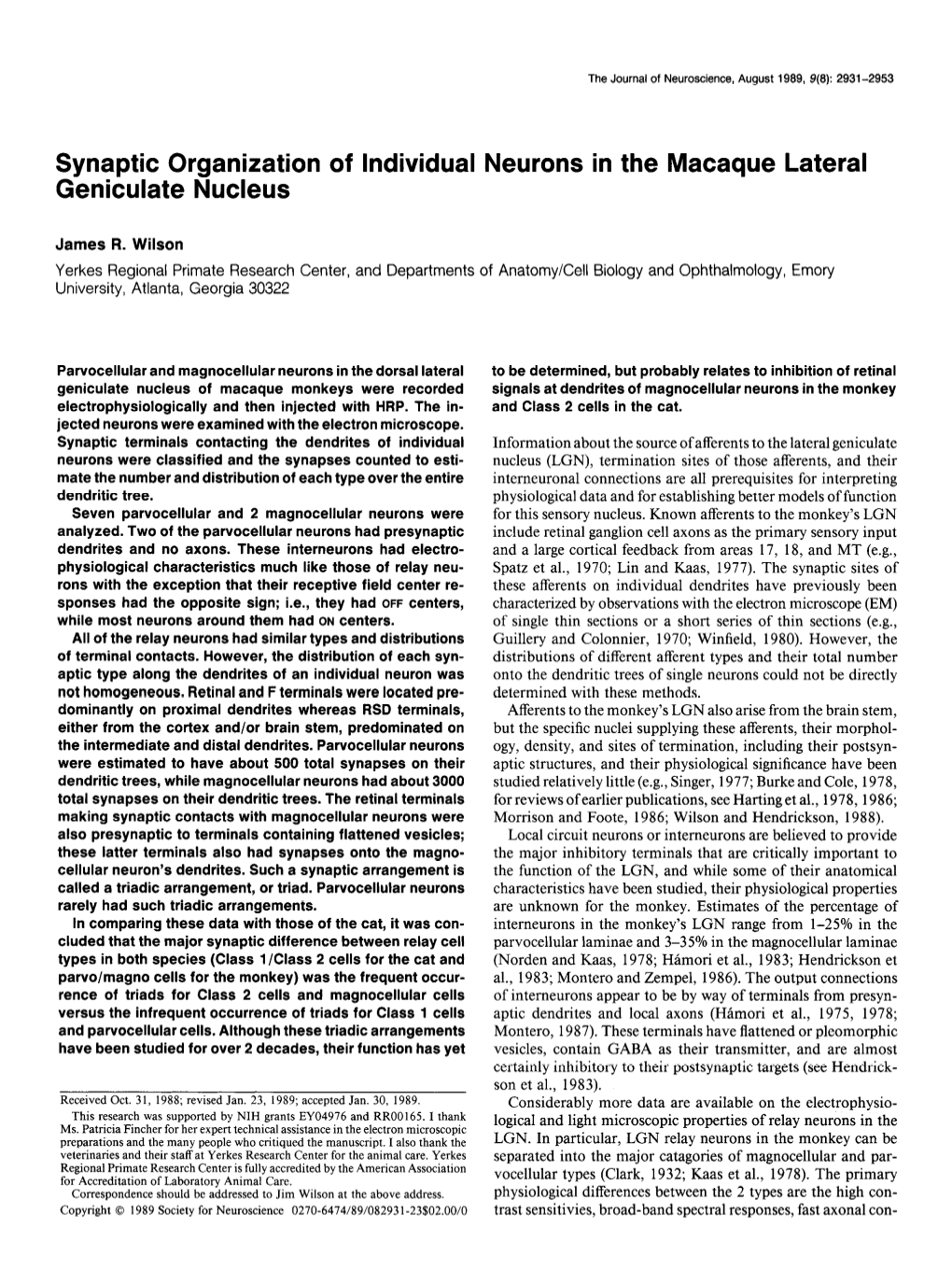 Synaptic Organization of Individual Neurons in the Macaque Lateral Geniculate Nucleus