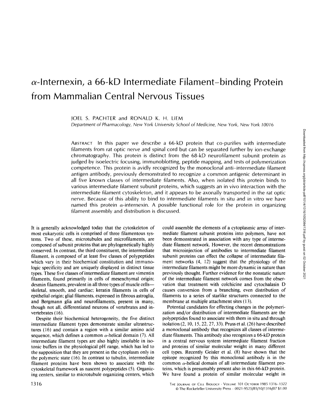 A-Lnternexin, a 66-Kd Intermediate Filament-Binding Protein from Mammalian Central Nervous Tissues
