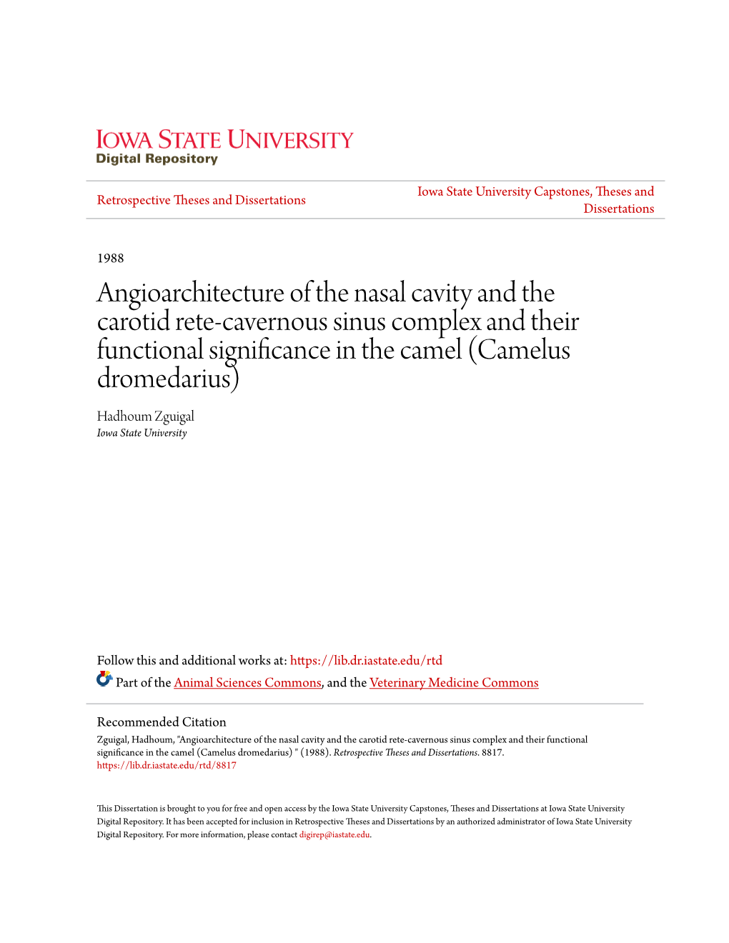 Angioarchitecture of the Nasal Cavity and the Carotid Rete-Cavernous