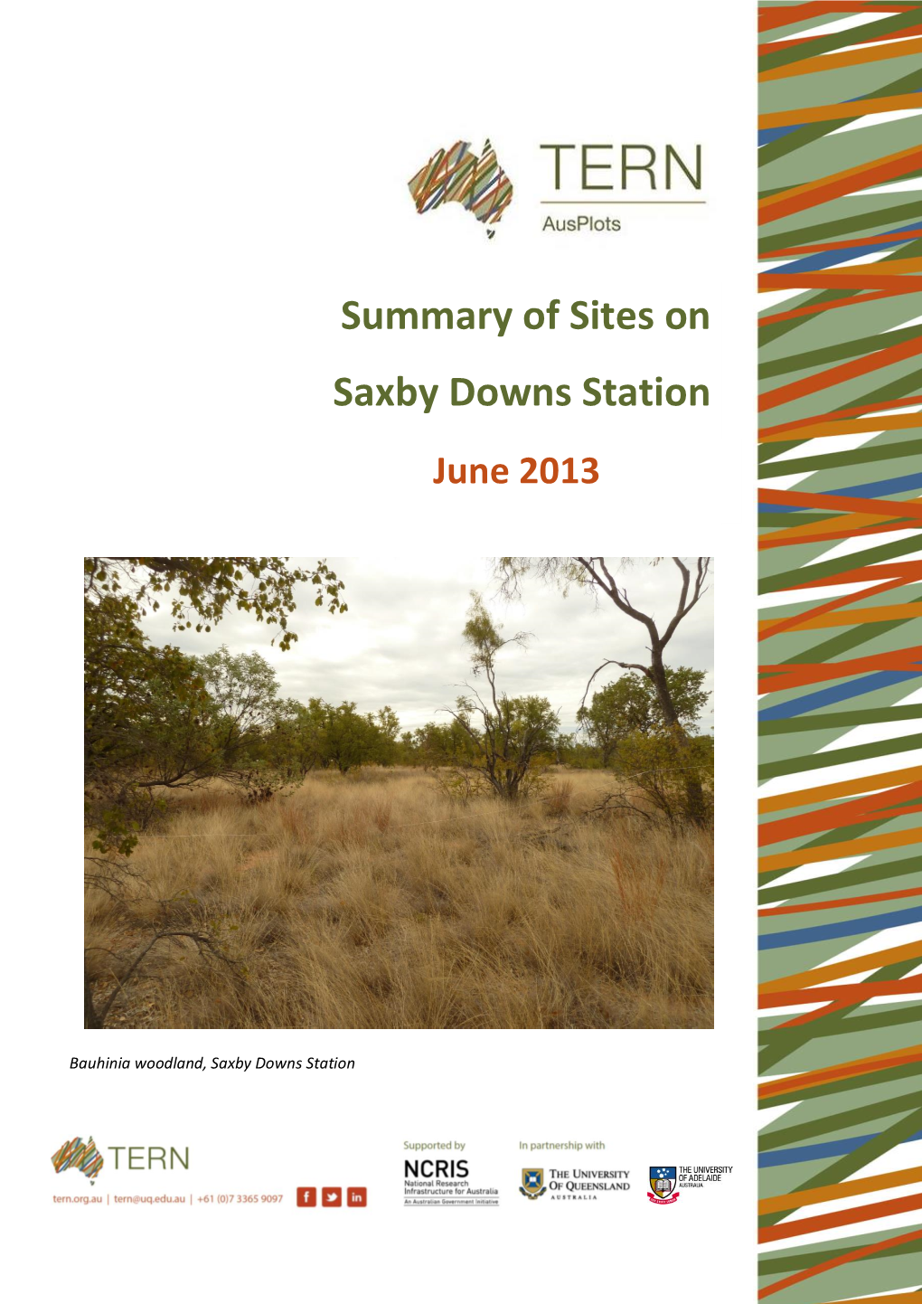 Summary of Sites on Saxby Downs Station