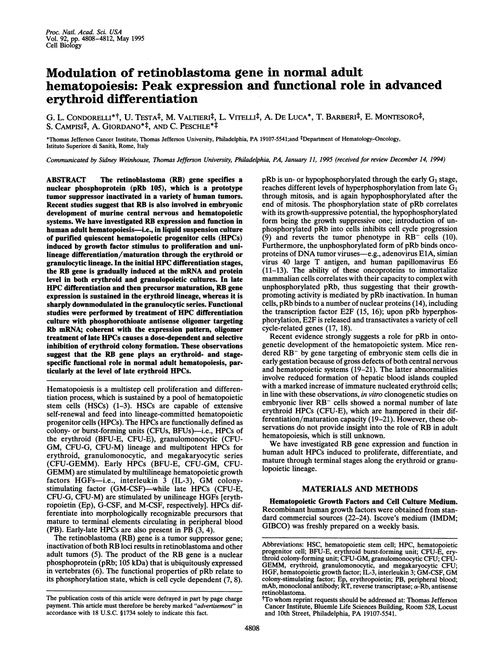 Modulation of Retinoblastoma Gene in Normal Adult Hematopoiesis: Peak Expression and Functional Role in Advanced Erythroid Differentiation G