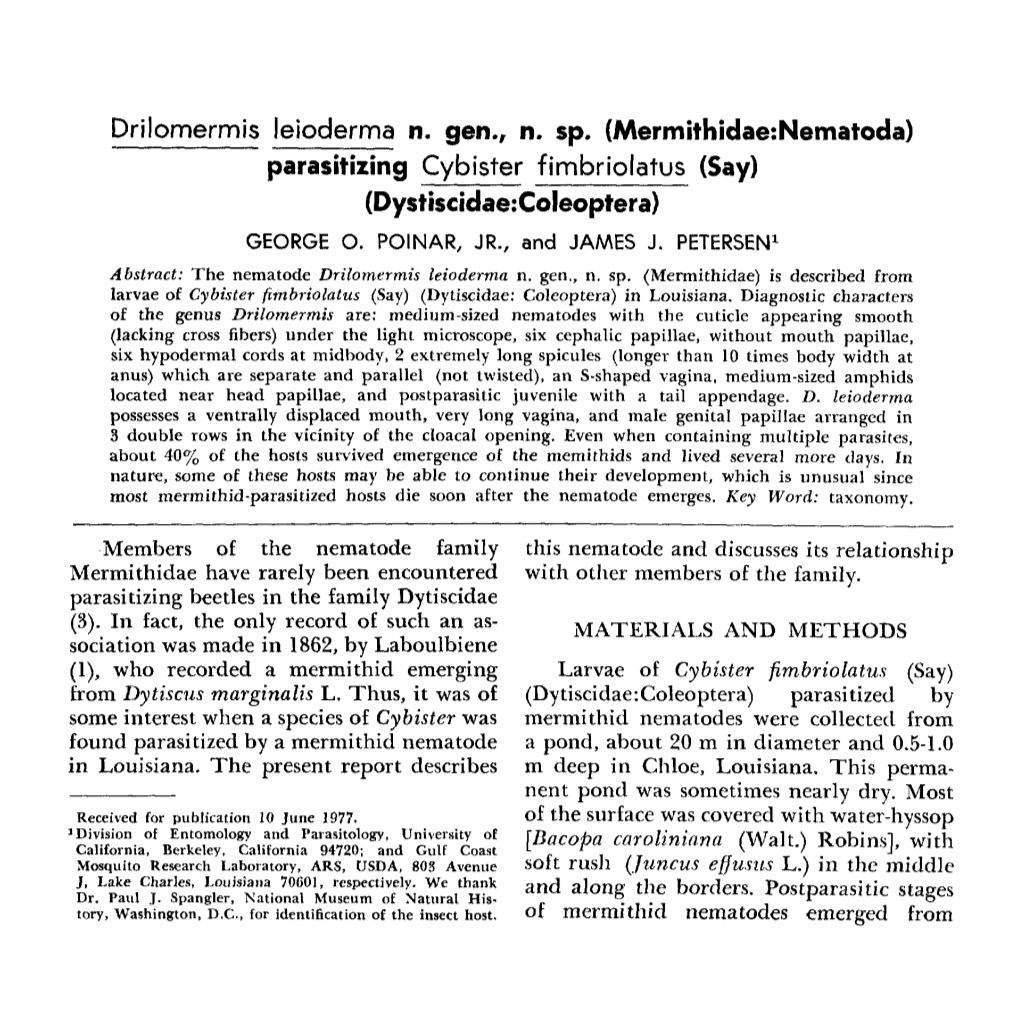 (Mermithidae:Nematoda) Parasitizin Cybister Fimbriolatus