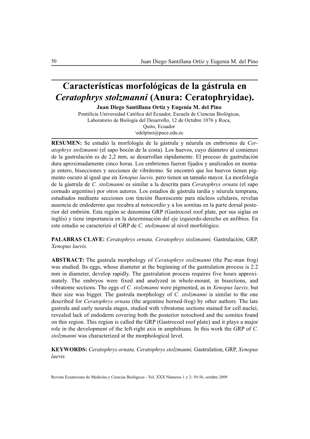 Características Morfológicas De La Gástrula En Ceratophrys Stolzmanni (Anura: Ceratophryidae)