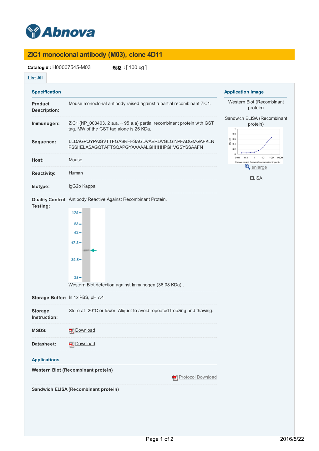 ZIC1 Monoclonal Antibody (M03), Clone 4D11