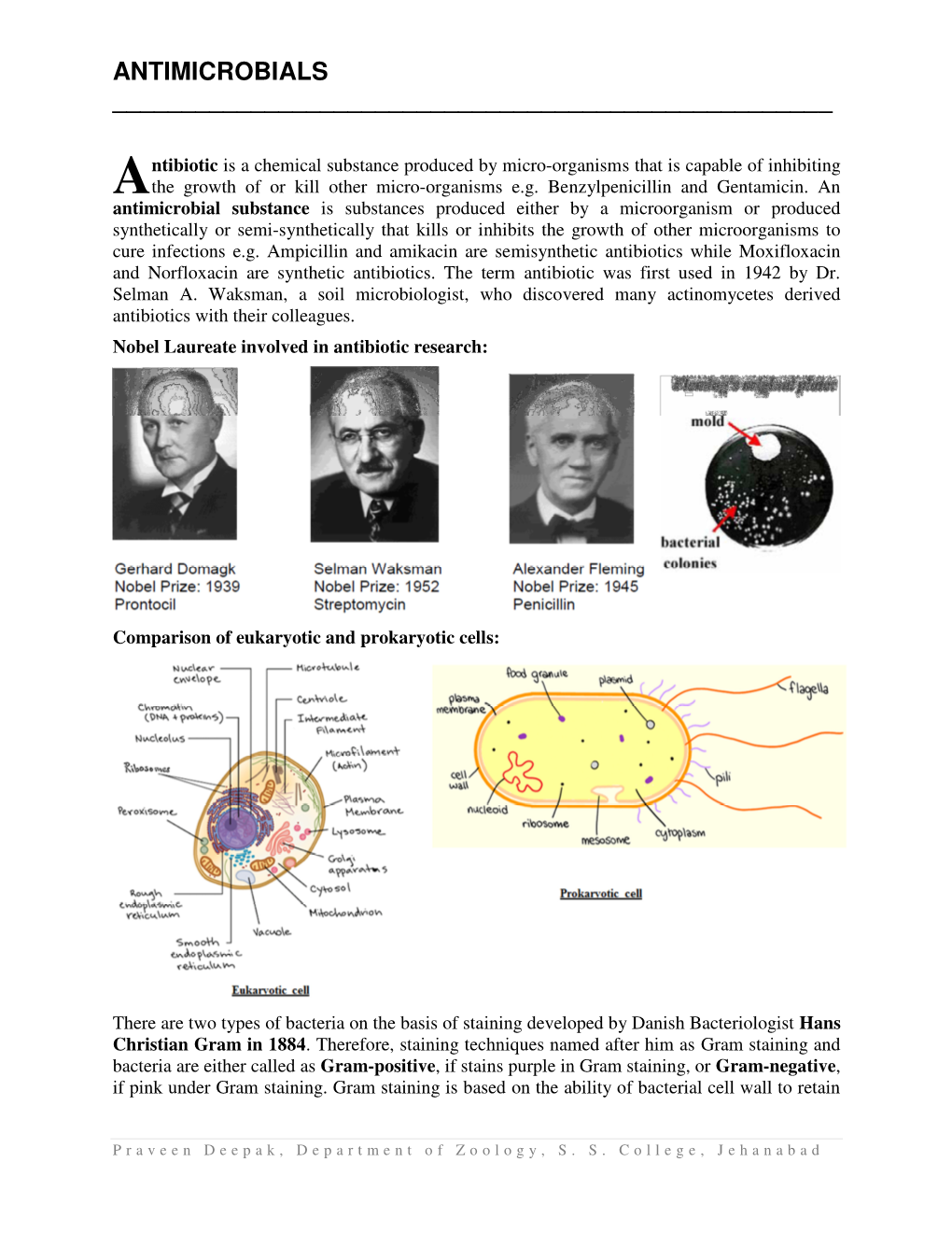 Cell Biology