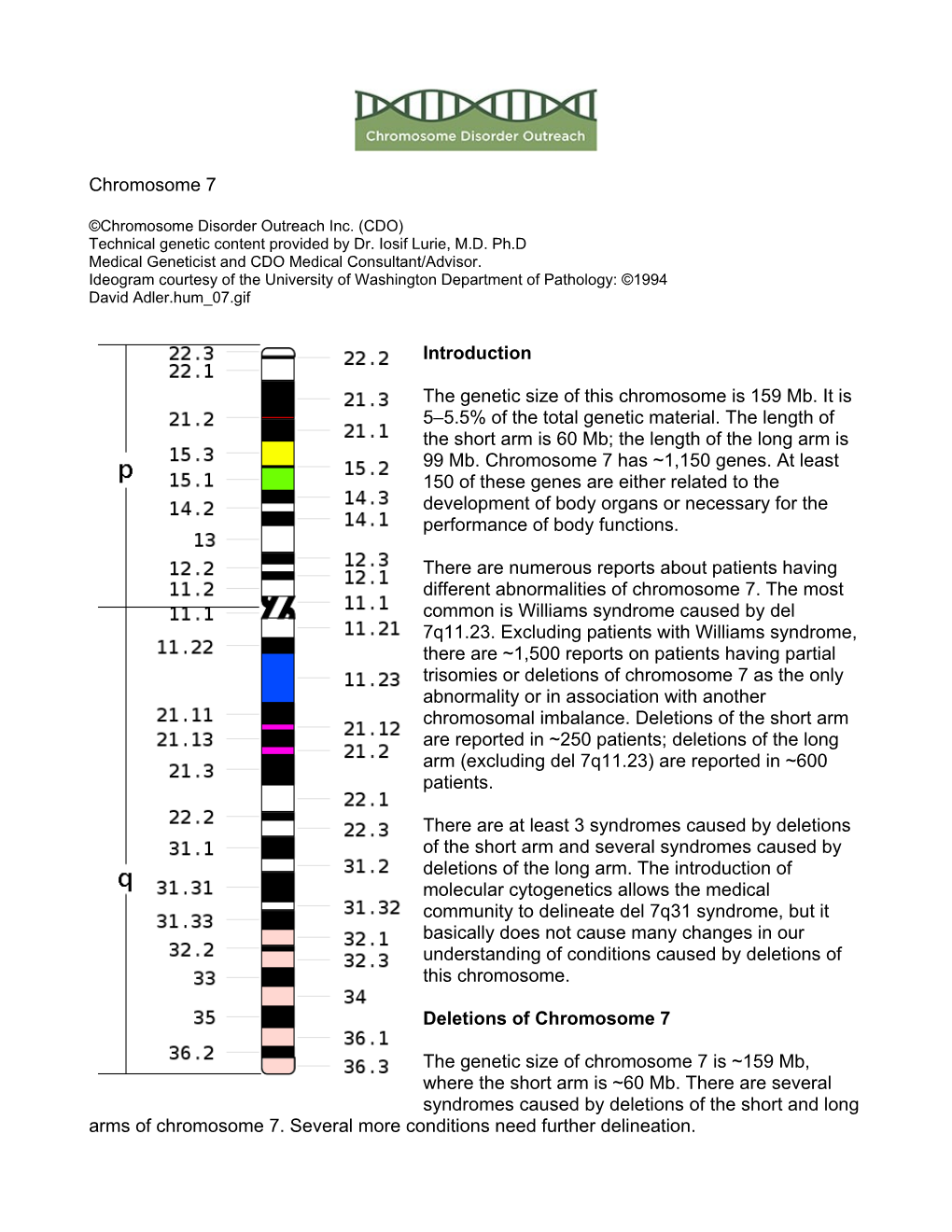 7 Chromosome Chapter