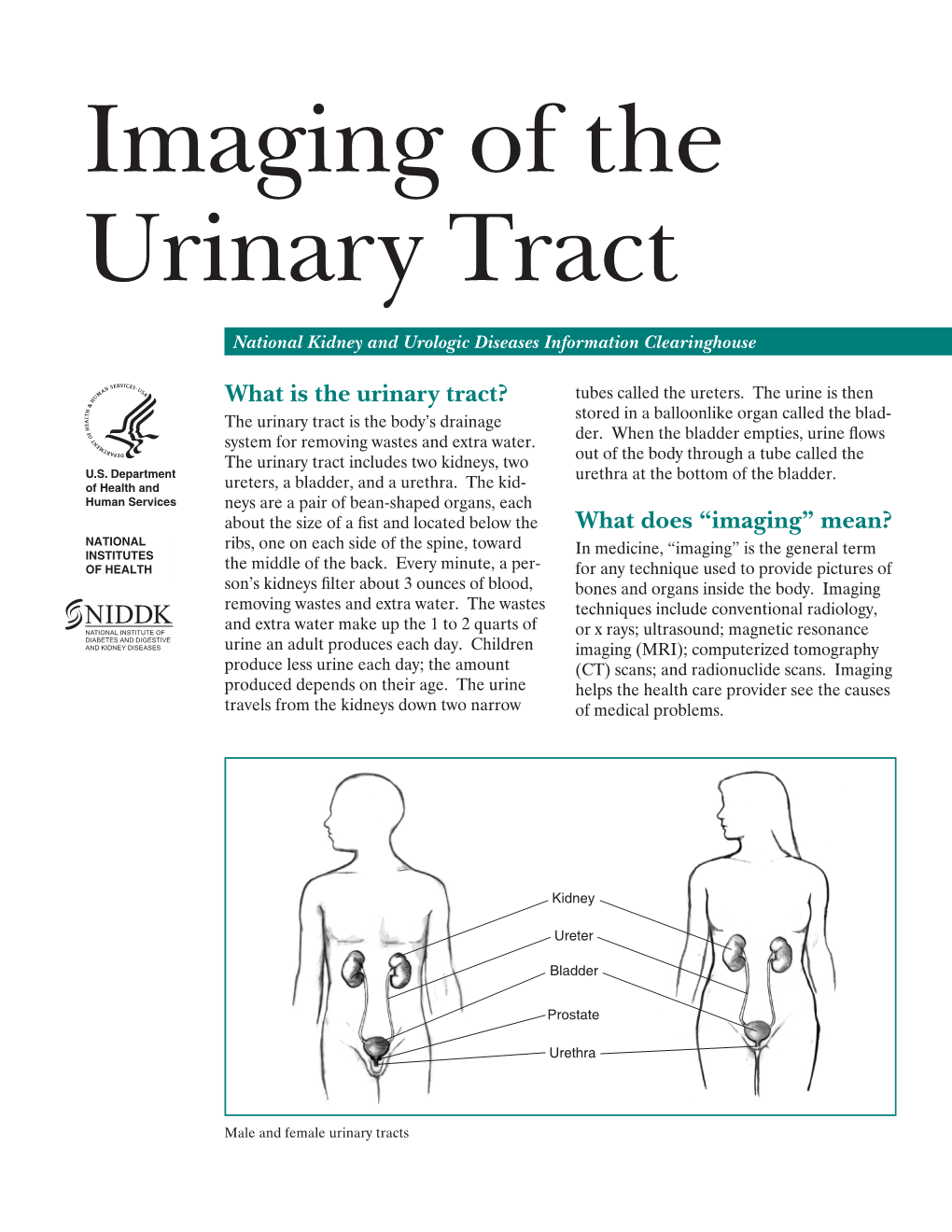 Imaging of the Urinary Tract