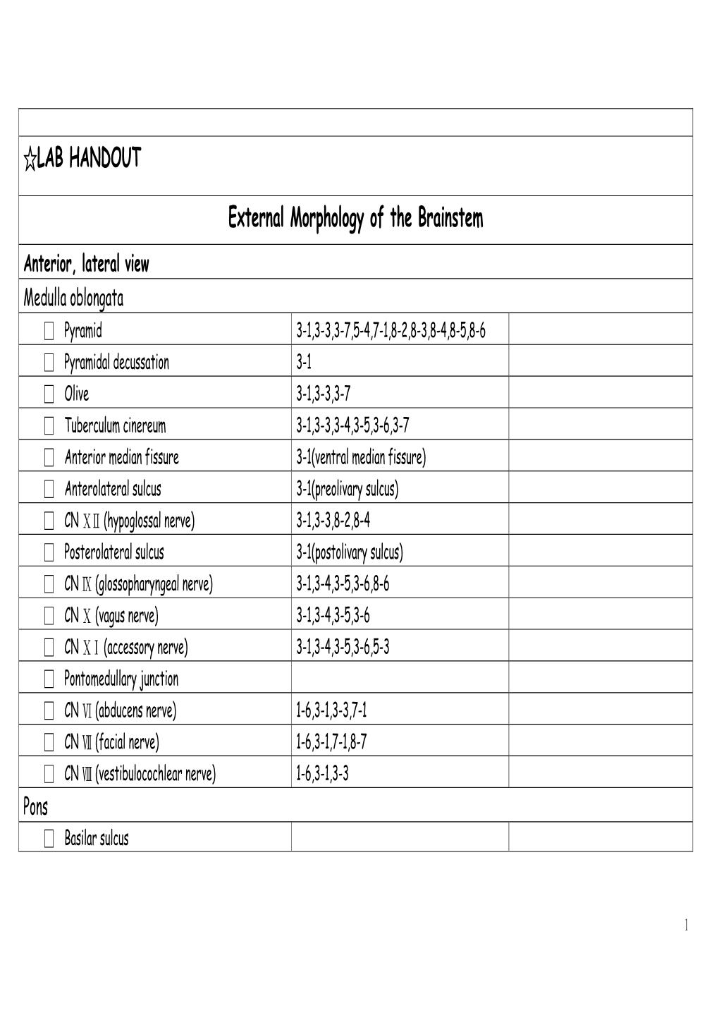 LAB HANDOUT External Morphology of the Brainstem