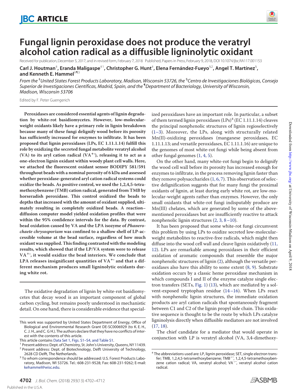 Fungal Lignin Peroxidase Does Not