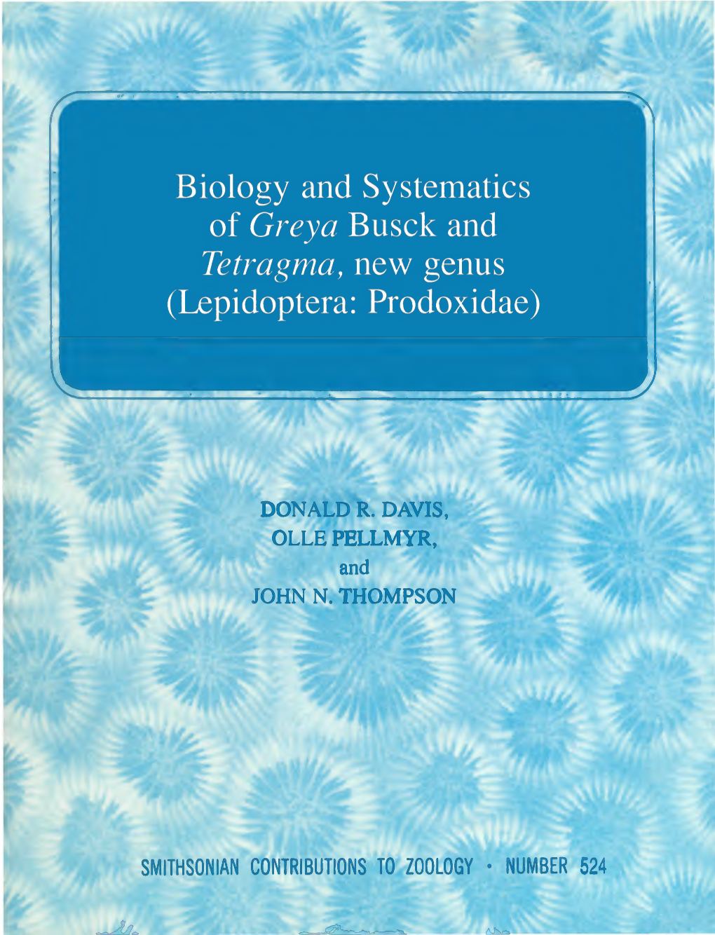 Biology and Systematics of Grey a Busck and Tetragma, New Genus (Lepidoptera: Prodoxidae)