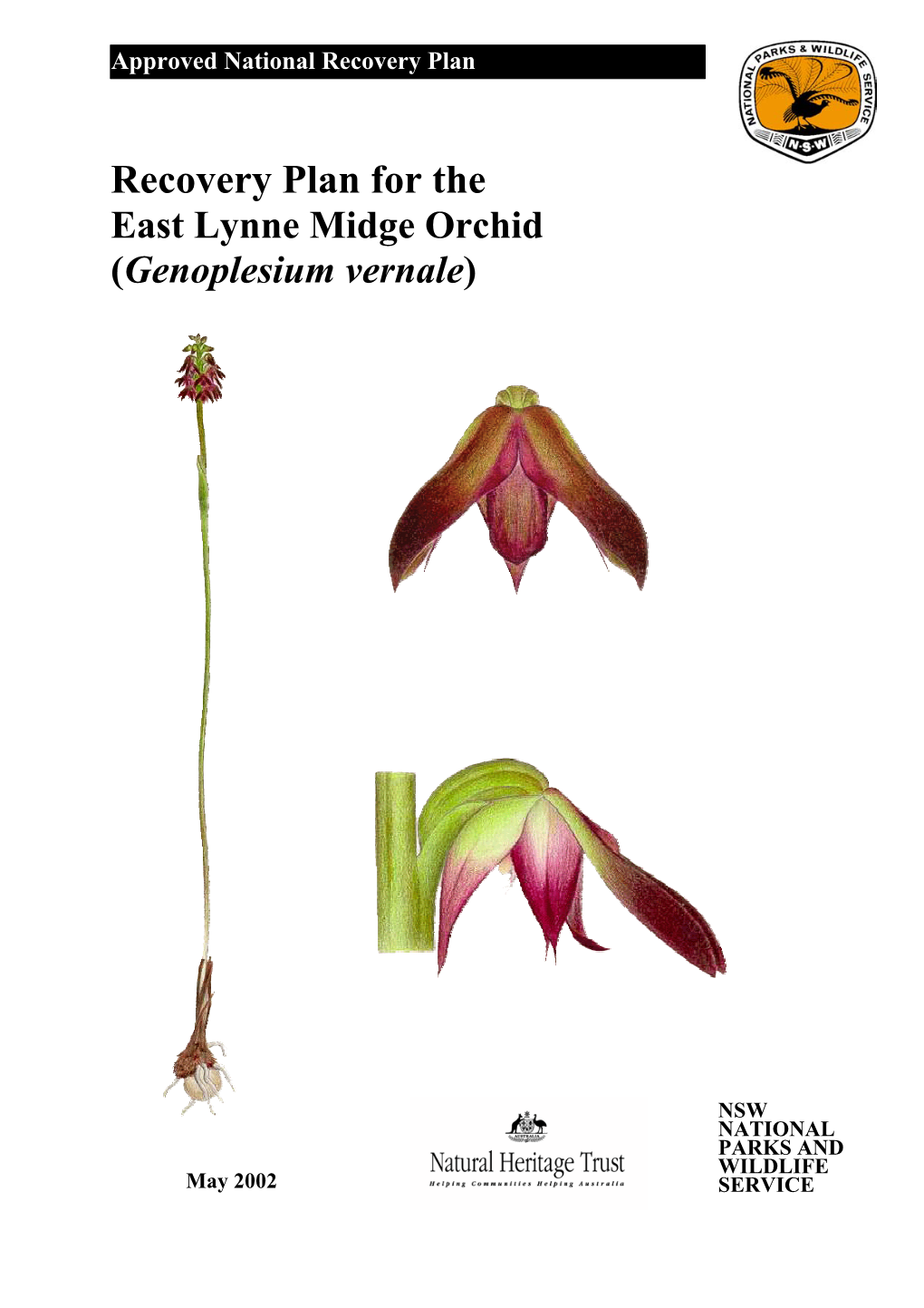 Recovery Plan for the East Lynne Midge Orchid (Genoplesium Vernale)