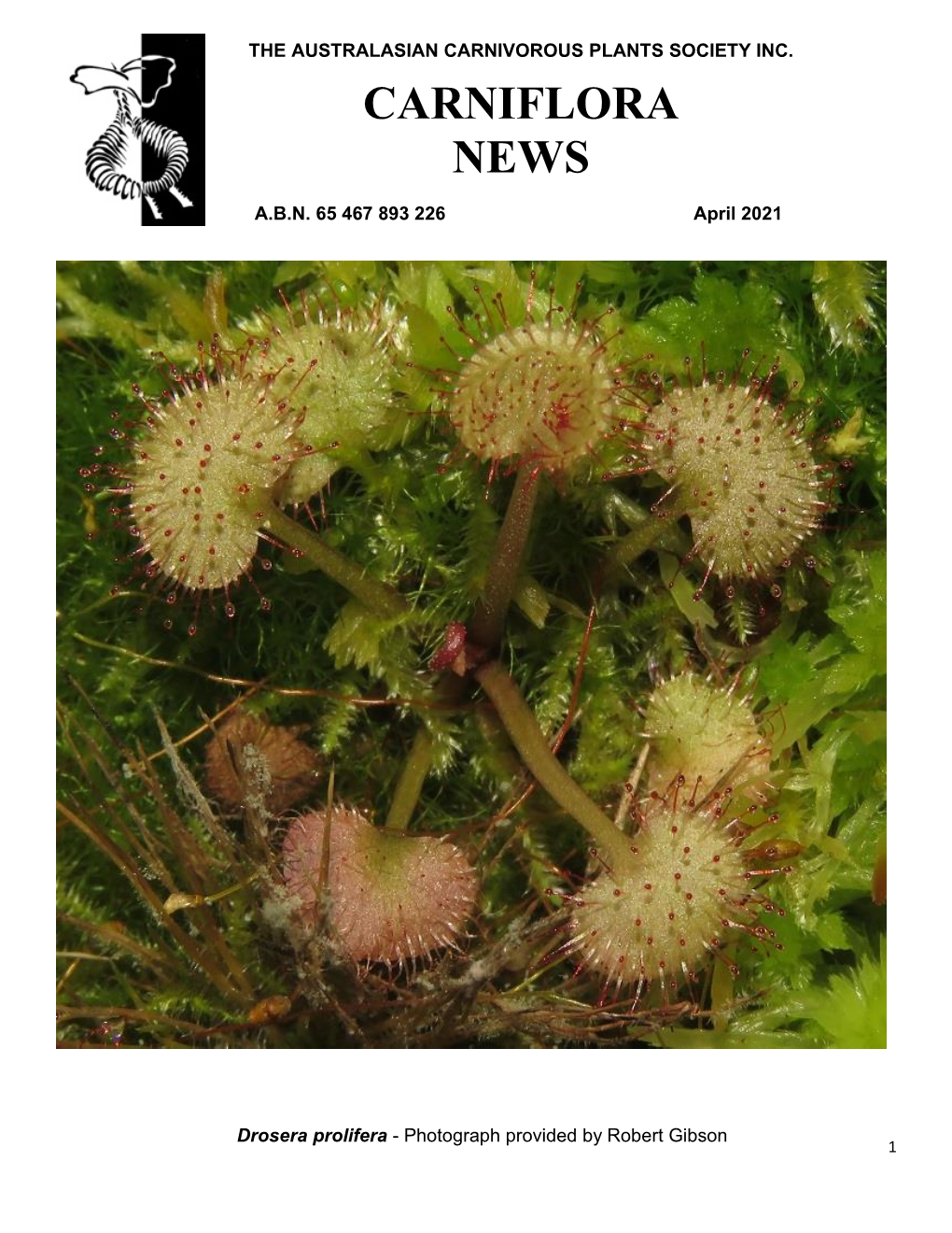 Carniflora News – April 2021