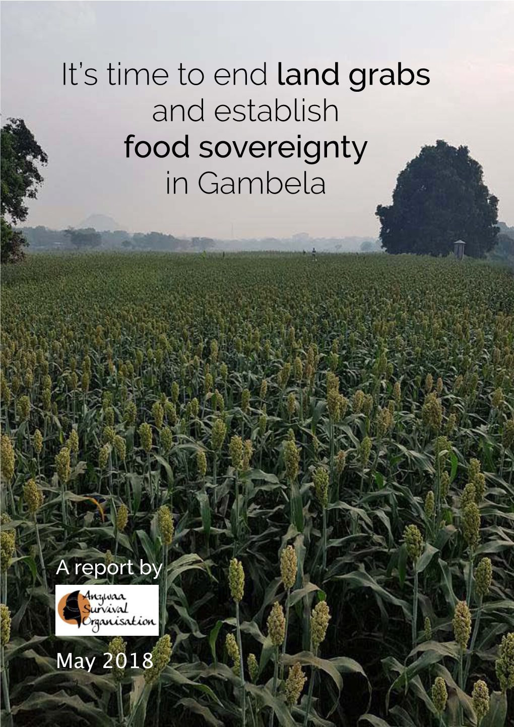 It's Time to End Land Grabs and Establish Food Sovereignty in Gambela